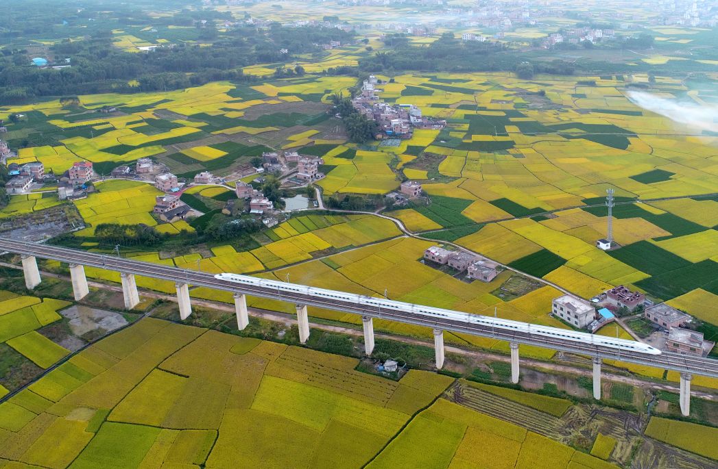 贺州市城市农村人口构成_贺州市农村老人图片(3)