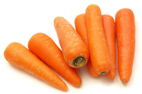 啥时候种胡萝卜 541bd44cd1464f8c8ca797ad81898731.png