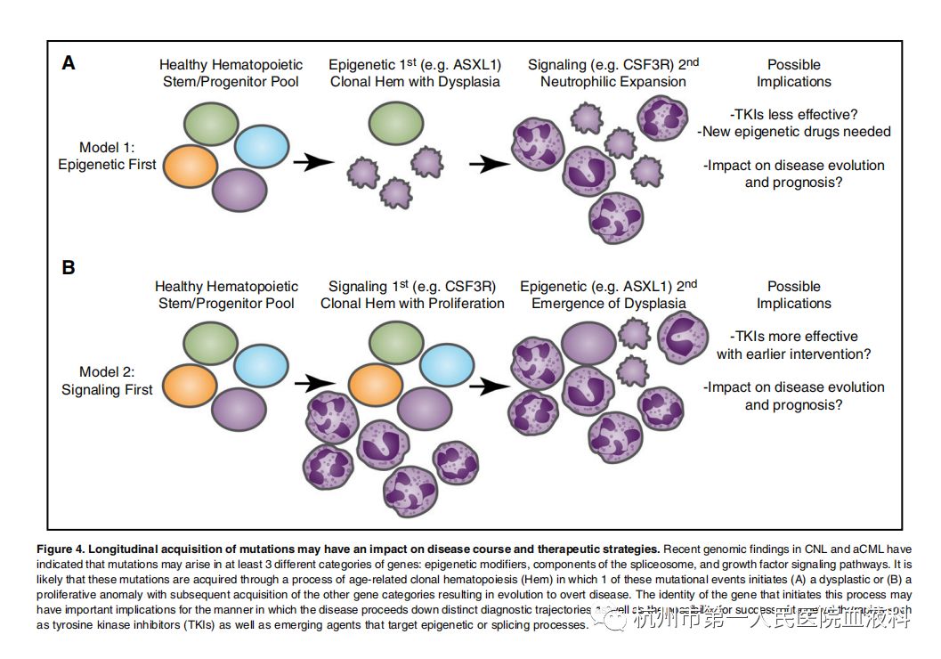 Genomics of chronic neutrophilic leukemia 粒细胞