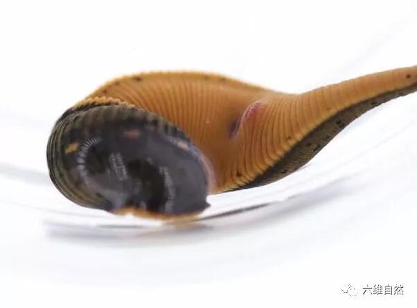 61d4739a76624df5ba657bf7f8ca4810.JPG