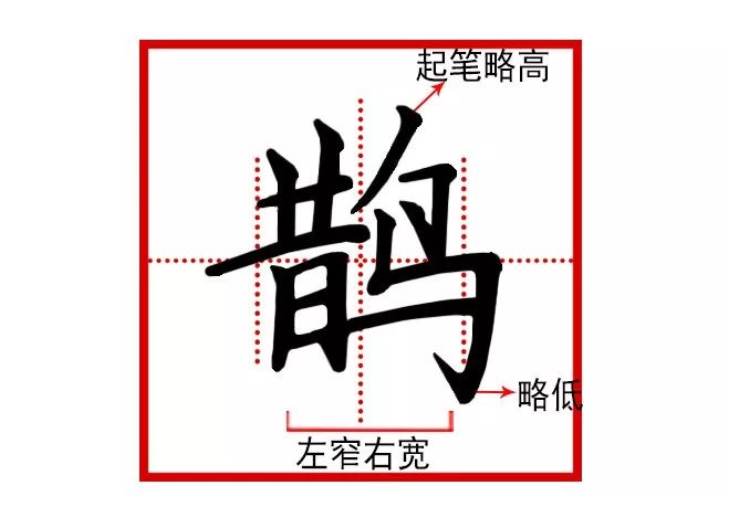 鹊字书写也叫喜鹊.鸟类.喙尖,尾长,体羽大部为黑色,肩和腹白色.