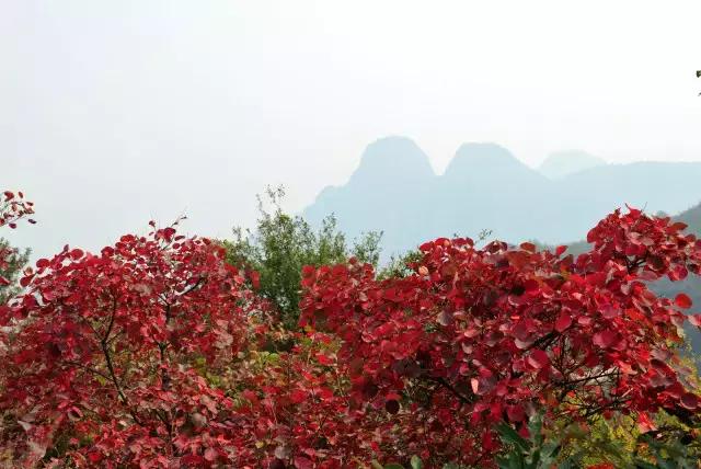 浮戏山纪事:时光自此有温度