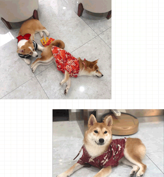 这些咖啡店太没下限,居然靠卖萌来