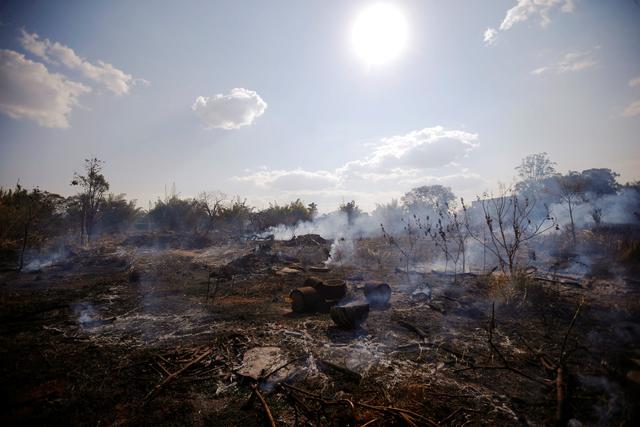 亚马逊雨林大火，相当于扔下一颗碳基原子弹，灾难性后果才刚开始