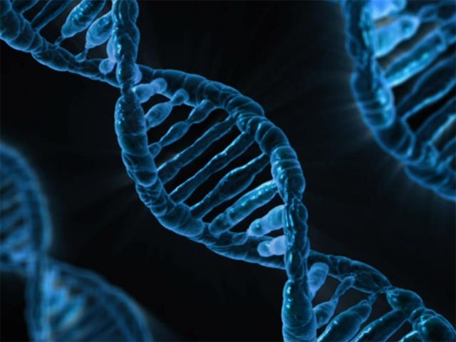                     重症孙子30天花23万，爷爷果断拒救：我有4个孙子不差这一个