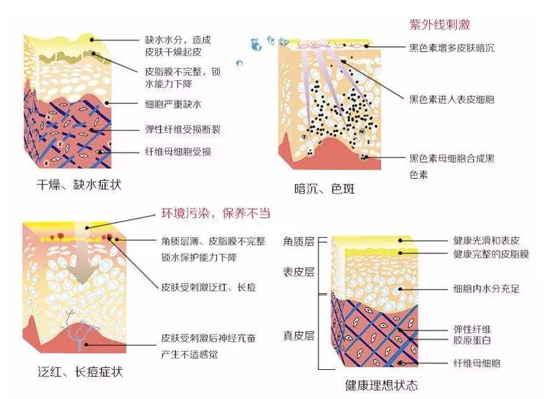 渗透检测的原理是什么_渗透检测原理(3)