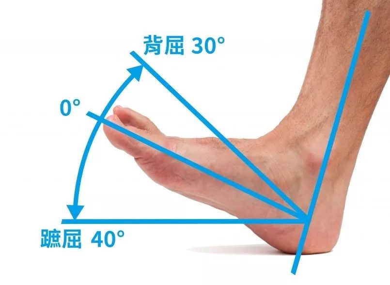 足背屈是指脚尖向上翘的动作,也叫跖屈;相反方向绷直脚尖为跖屈.