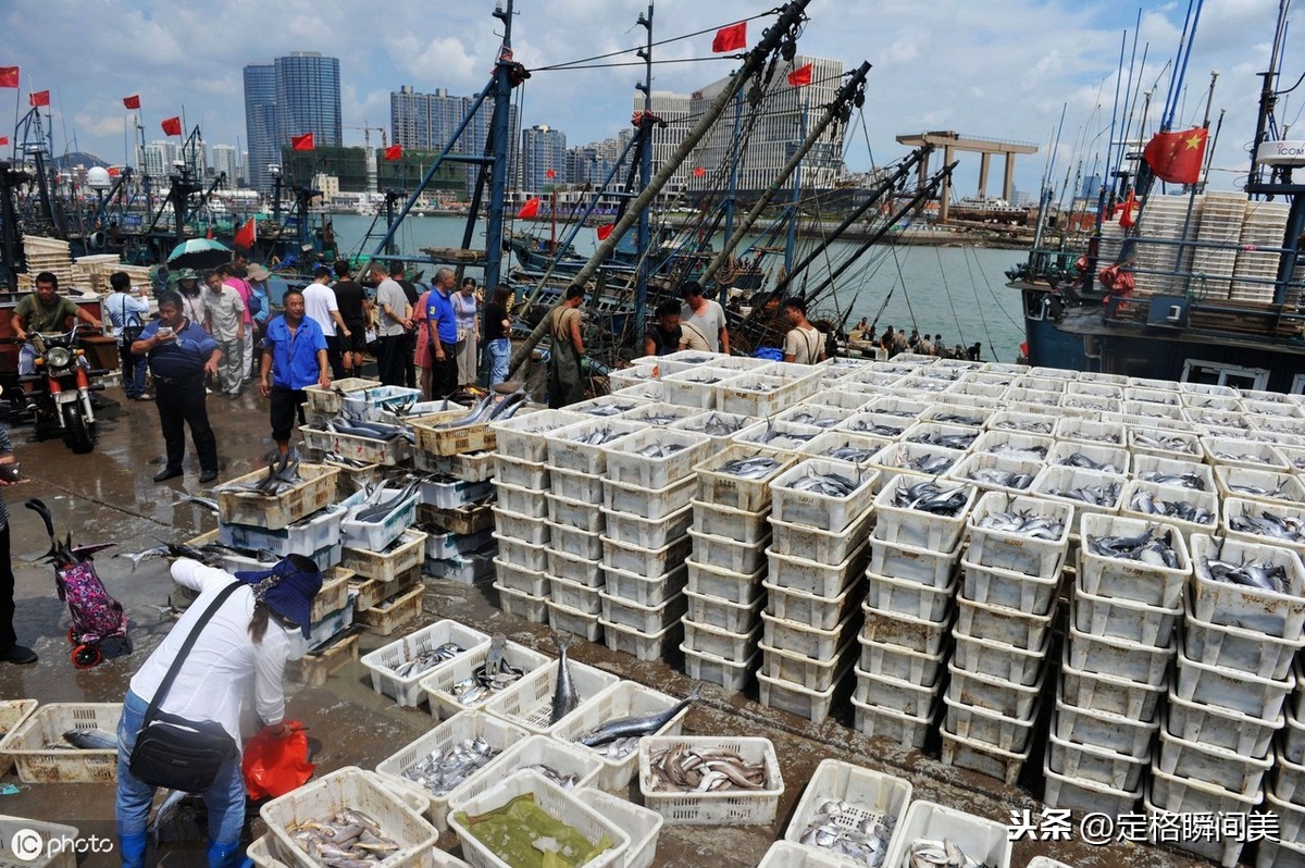 在青岛西海岸新区积米崖码头,一艘艘满载海鲜的渔船开始陆续返港卸货