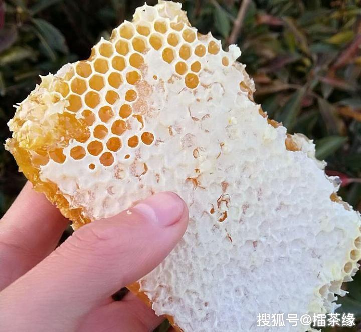 蜂巢蜜怎么吃视频 85a65ed2bc444ec1adca0011361e87b5.jpeg