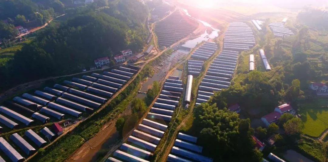 霍山年经济总量_世界经济总量图片(2)