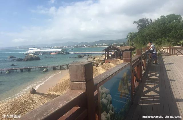 【生活贴士】每天几点钟起床最佳!终于知道了