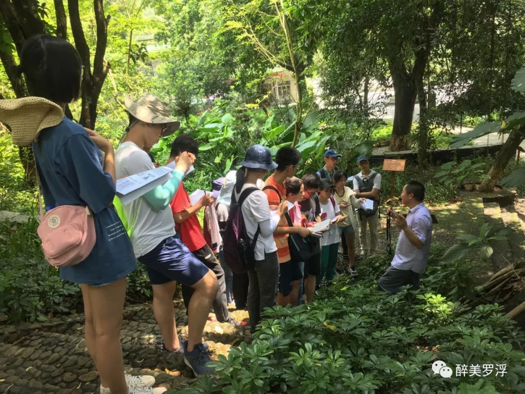 开学了,来罗浮山开展一场研学之旅吧