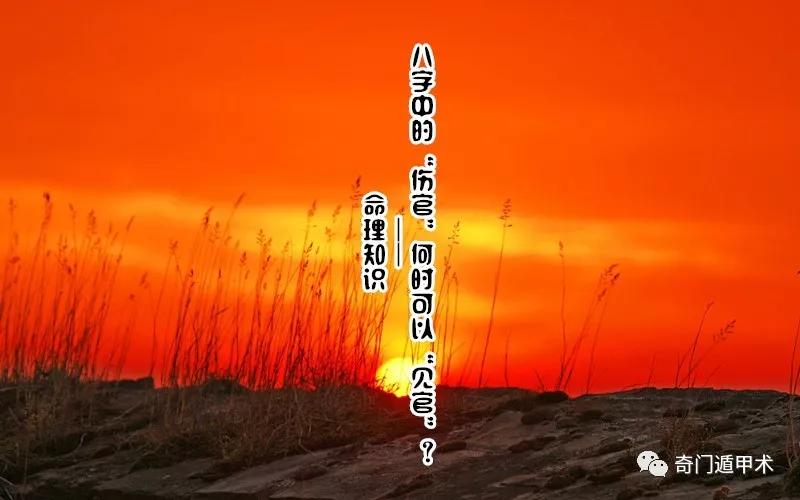 97e178ddb4a744eeab9becff1be0e95b.JPG