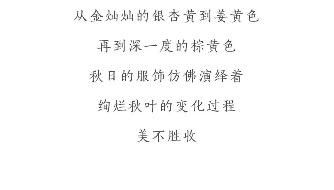 满目简谱_满目星辰皆是你简谱
