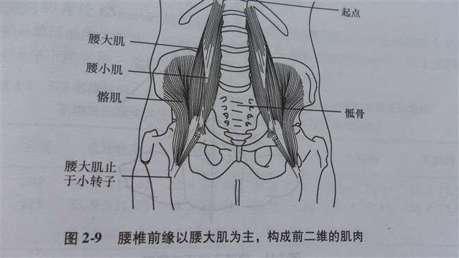 腰部保养常识知多少