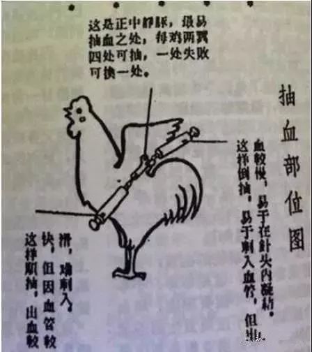 文章配图