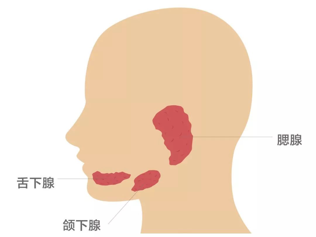 腮腺肿瘤术后疤痕有多大？