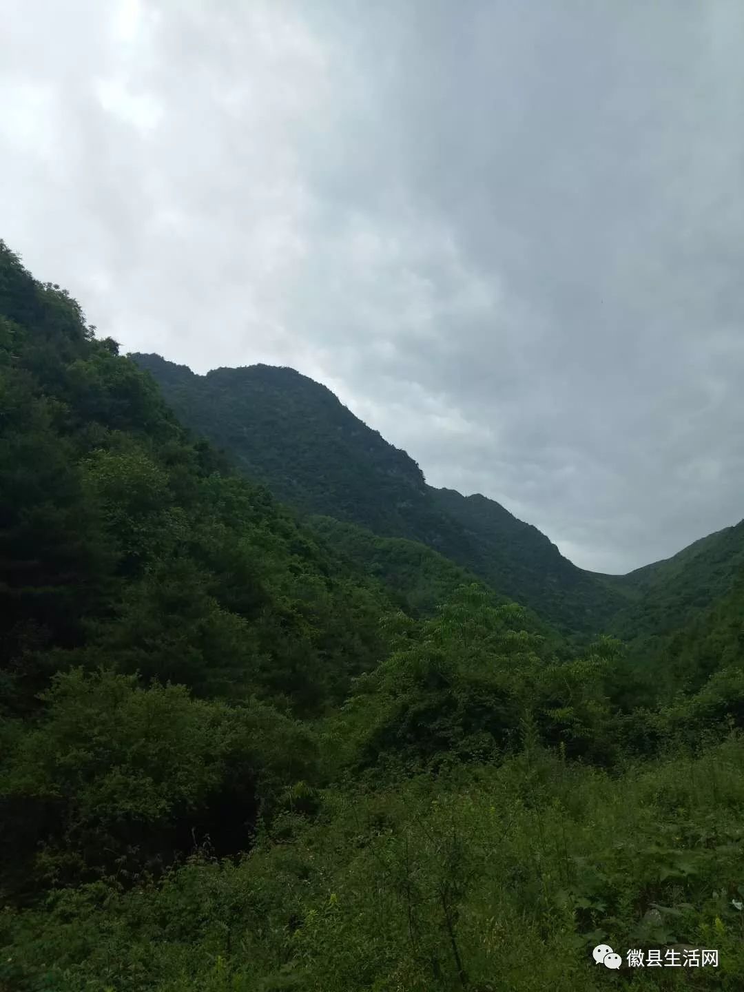 徽县有多少人口_徽县一中图片(3)