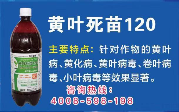 a221883cdfc04706bda5638a5660de83.jpeg