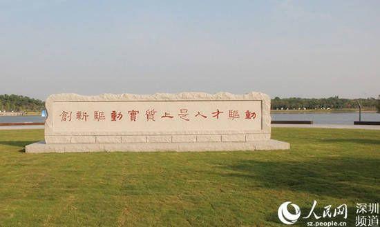 深圳人口来自_深圳人口年龄结构比例