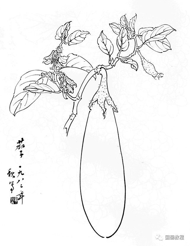 国画教程值得好好观摩的30幅蔬菜水果白描稿请收藏