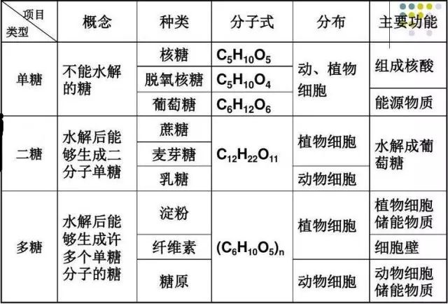 高一生物必修一知識點總結(jié)