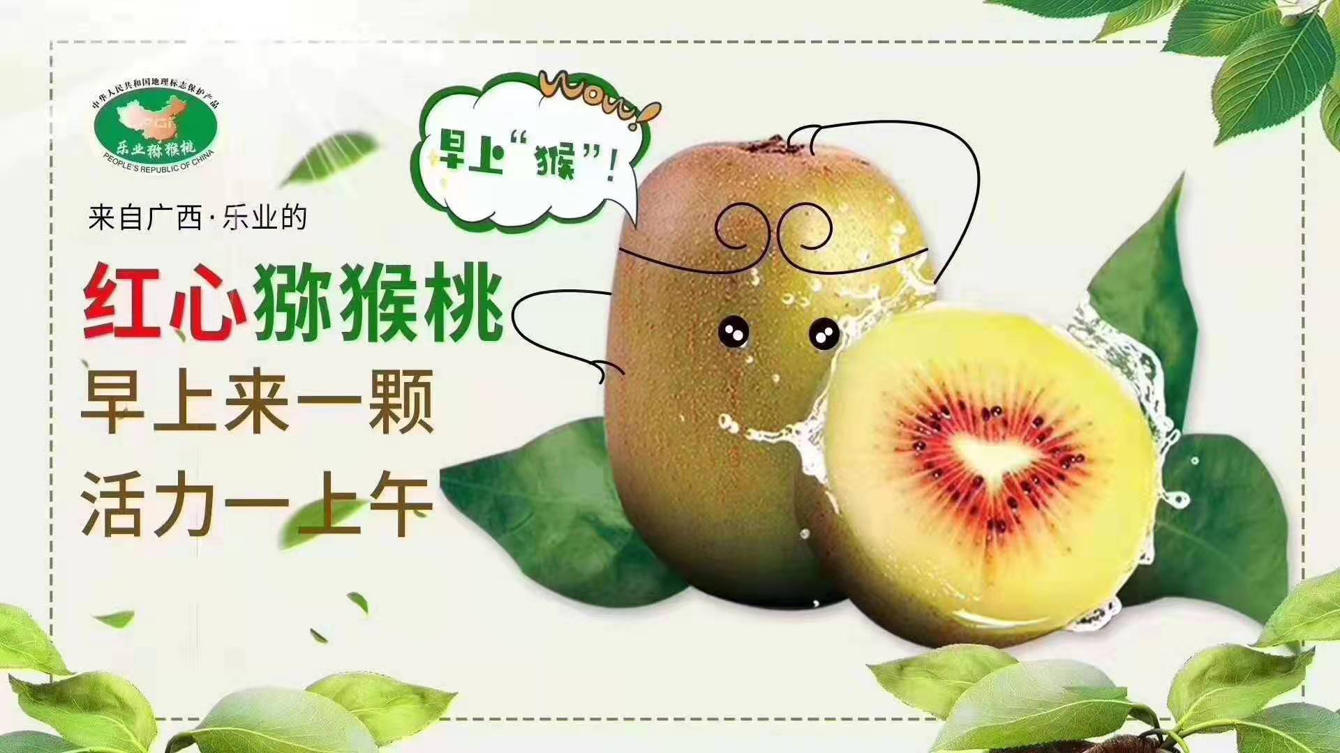 广西一带一路健康产业投资有限公司金字招牌红心猕猴桃上市