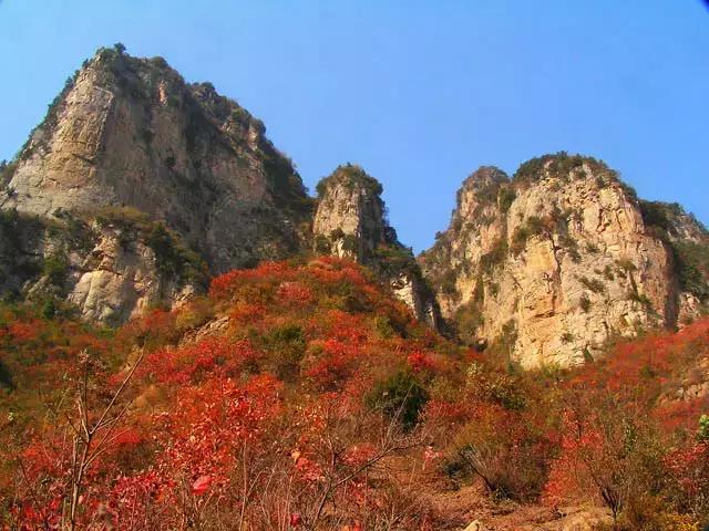 浮戏山纪事:时光自此有温度