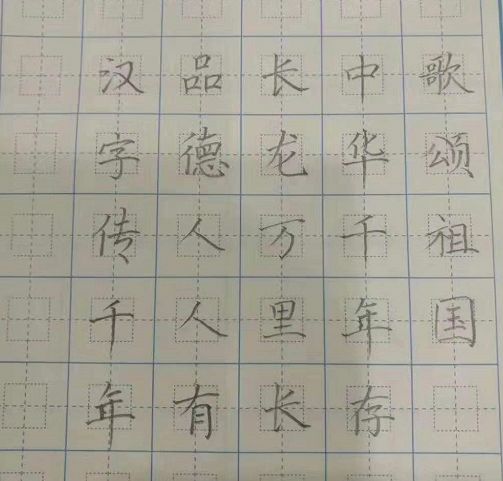 巢姓人口_人口普查(2)