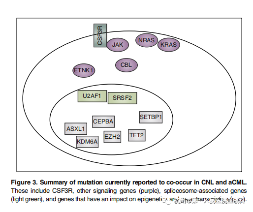 Genomics Of Chronic Neutrophilic Leukemia