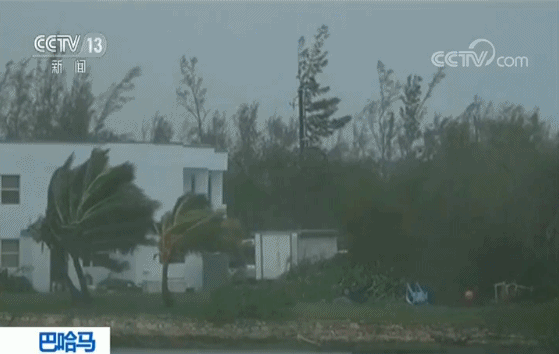 巴哈马“多里安”降为四级飓风已致5人死亡