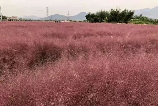 村庄规划经验做法_借鉴优质村庄规划经验分享_优秀村庄发展规划案例