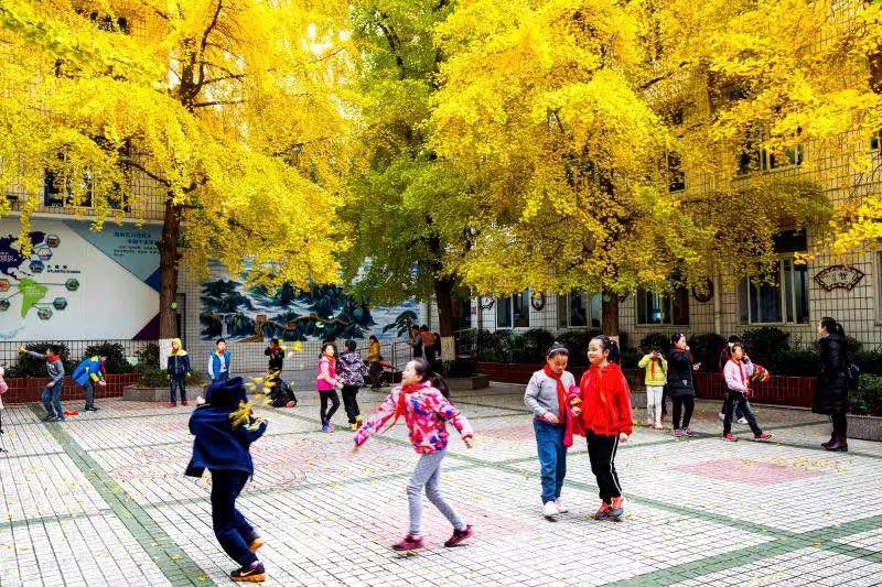 【莒南一小校长推荐】重磅消息!每生每天