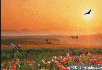 中国诗人2019王波睡去的黄昏明天还会醒来总第996期