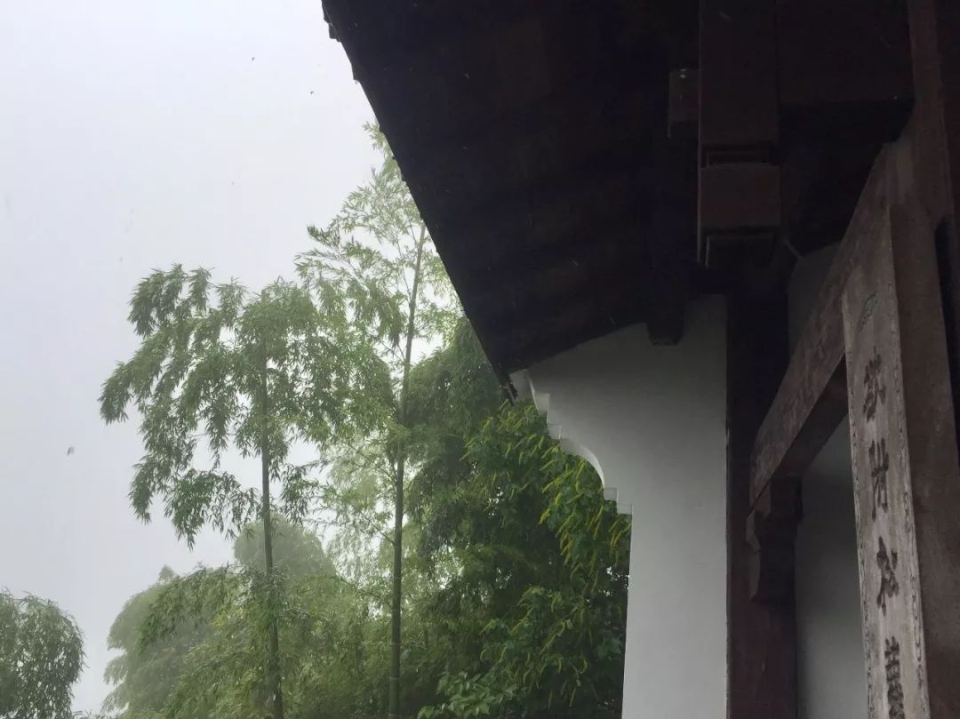 雨纷纷旧故里草木深周杰伦歌词中的美尽在余杭这里体现了