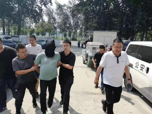 犯罪嫌疑人张某落网9月2日,在饶阳县公安局的协助下,抓捕民警在饶阳