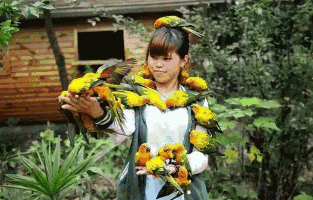 640_409gif 动态图 动图