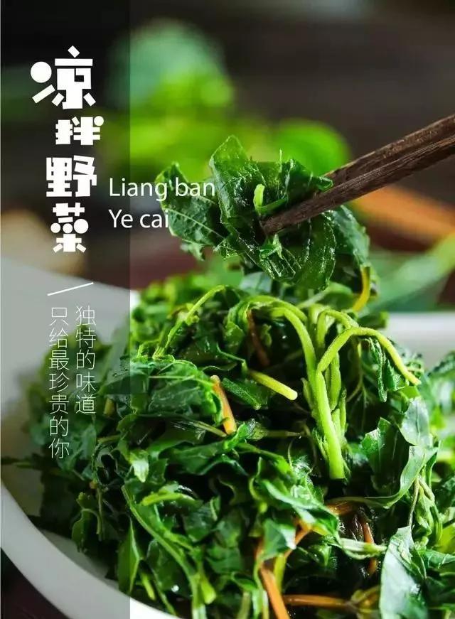 凉拌野菜,主要使用太行山区常见的马耳菜,苣苣菜,柳絮叶,沙蓬稞,白蘡