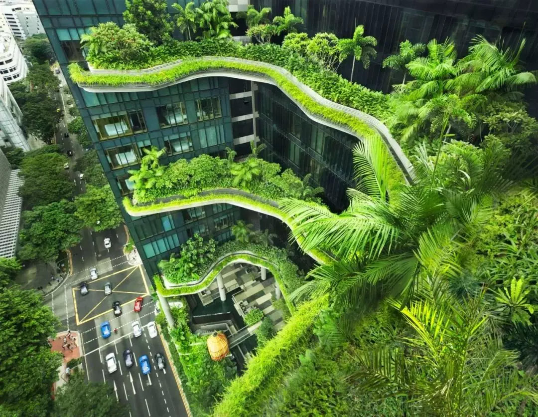 这应该是新加坡最出色的绿色建筑了,置身大都市,有种月色摇晃树影