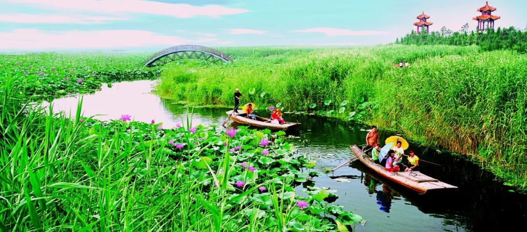 今天,让我们在这里回望历史、凭吊先烈