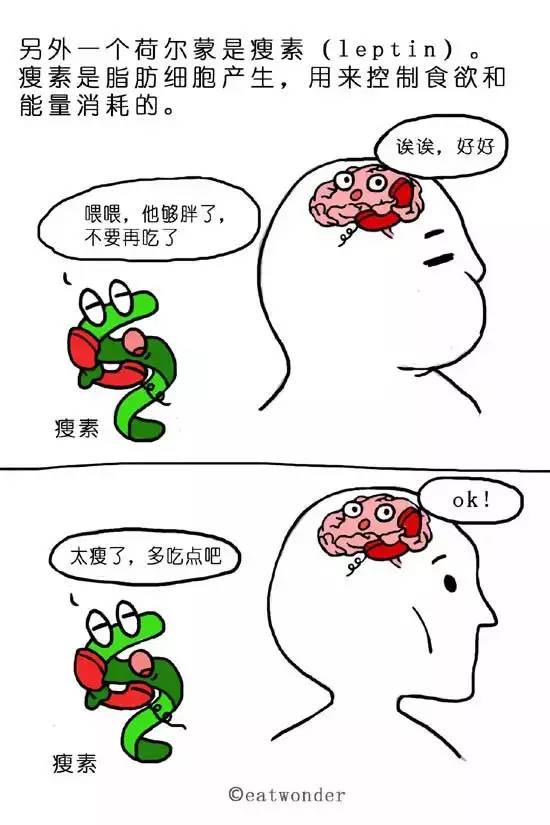 1fa22677787c408e995c784ffa169af3.jpeg
