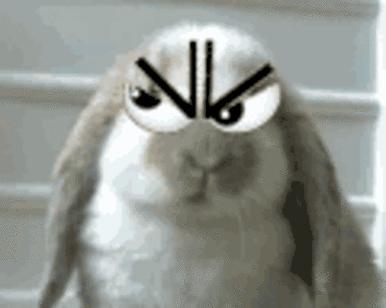 249ba4f4c1964aa5aaf414da3f0f6f20.gif