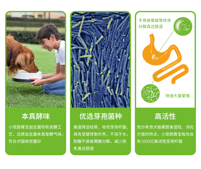 宠物便秘的症状有哪些 宠物便秘可以吃肠胃宝益生菌调理吗 首页 武汉中博绿亚生物科技有限公司