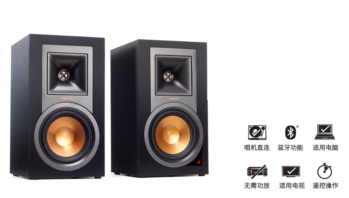 高贵不贵美系HiFi书架音箱杰士R15PM(图5)
