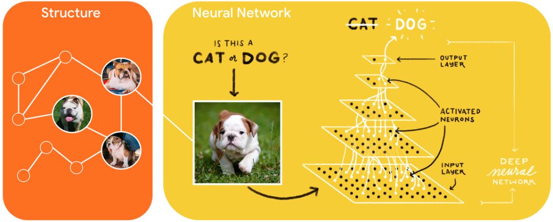 五行代码用图提升模型表现，TensorFlow开源NSL神经结构学习框架