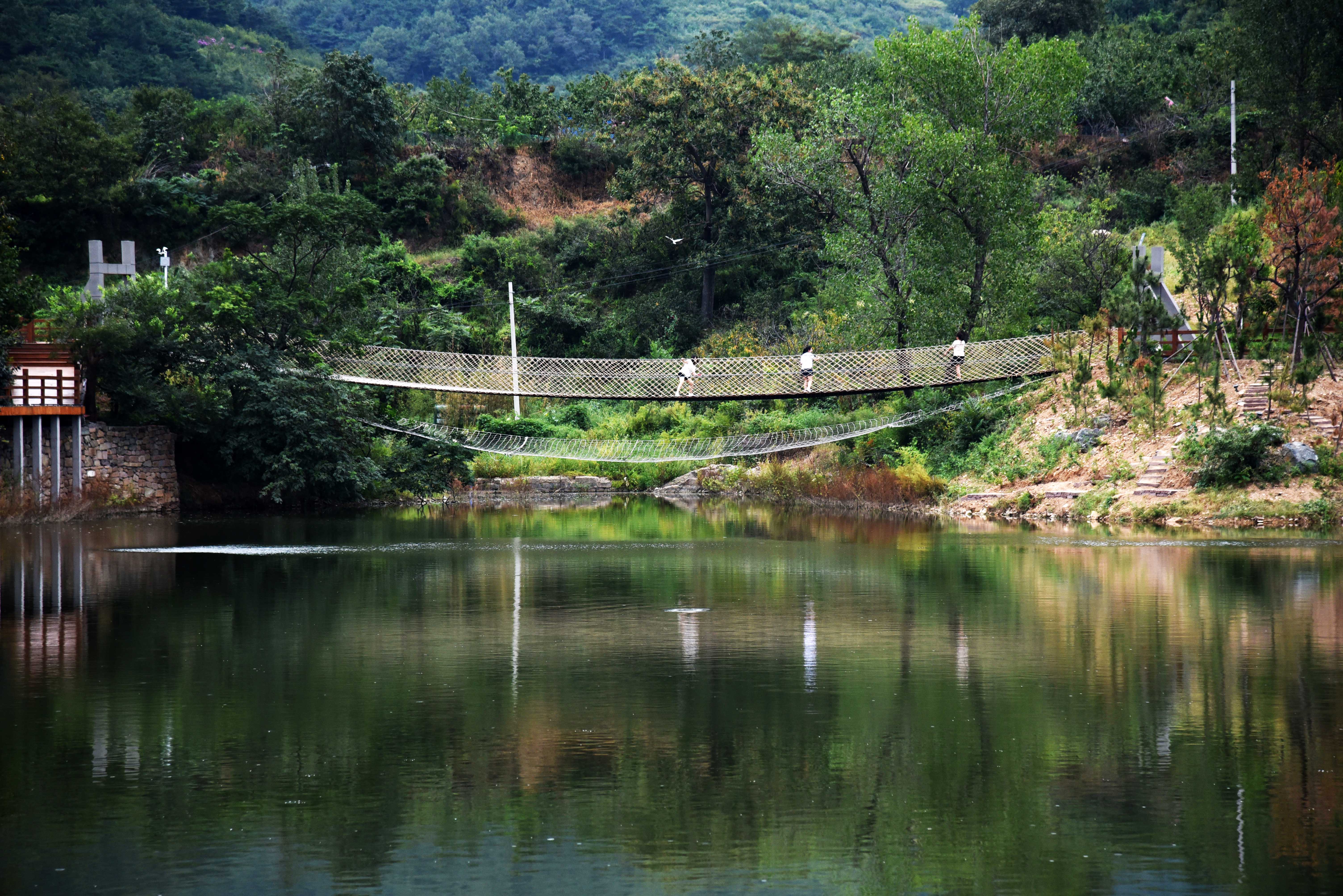 临海市白水洋镇岭村总人口_临海市尤溪镇梨树坑村(3)