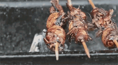 400_221gif 动态图 动图