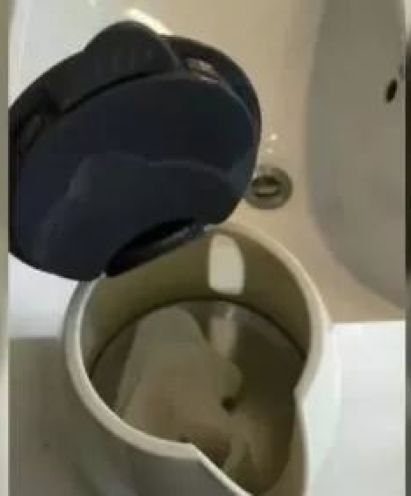 392019709e1e4ac487002a62c235621c.jpeg