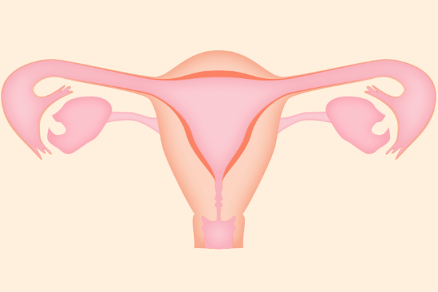 3a1d7b127a714ed7894c6ddc7dc05350.gif