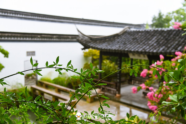 盐官这样玩:半天时间看王国维、金庸,访孔庙学